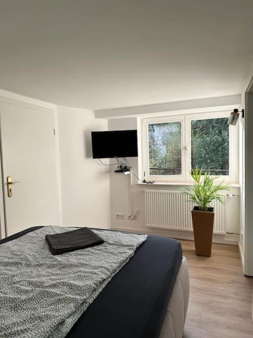 Business Apartment Naehe Bonn Königswinter Exterior foto